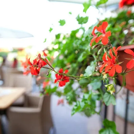 Solei Strzeszyn Hotel 4*