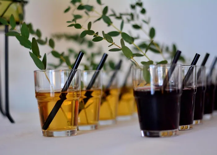 Solei Познань